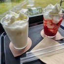 시골손맛 봉평메밀 이미지