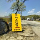 로하스캠핑장 어린이날 캠핑 완전정복 가족여행 후기