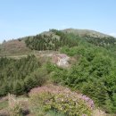 운봉읍 산덕마을 이미지