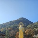 보은 이미지