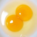 노른자 이미지