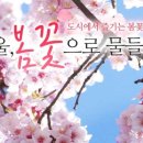 우리;꽃 이미지