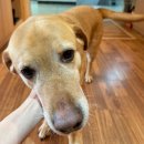 따뜻한 손 안마원 이미지