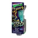 Ninja Turtle Teenage Mutant 이미지