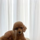 컴피 화명점 네이버블로그