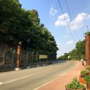 푸른숨미술 이미지