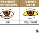 색깔 Daum카페