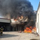 불로카센타 이미지