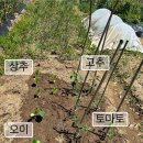 대리농장 이미지