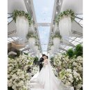 사브랑 | 💍W9) 화이트톤 본식 스냅 추천! “손수그라피” 계약후기 (Feat. 견적비교 로즈베일리, 탐클로이, 르...