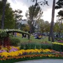 2019 오륙도평화축제 이미지