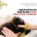 빠마앤컷 이미지