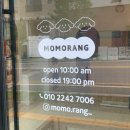 허니모모 애견미용실 | 대전 도안동 애견미용 비숑 귀툭튀컷 잘하는 모모랑