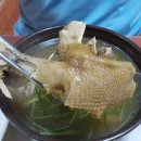 청도 풍각 비소 02 | 청도 가볼만한곳 경북 청도 여행지 추천