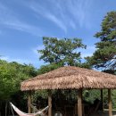 현북초등학교 | 강원도 양양 감성숙소 &lt;더 꽃잠&gt; 4인 숙박 추천! 🧡💚🖤