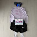 공설운동장 삼거리-좌 | [러닝] 2026 합천벚꽃마라톤 하프 후기 (1) (코스, 난이도, 주차, 화장실 총정리)