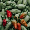 메이드짐 이미지