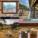 구유림7 | [울산 동구] 울산주전정자 아름다운정원카페 <구유림> 강아지동반가능카페