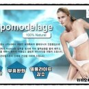 스파디안