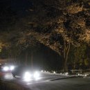 밤벚꽃놀이, 진양호공원 이미지