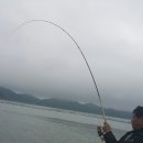 바다풍경 펜션민박 이미지