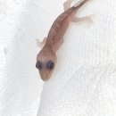 원주브리딩 이미지