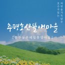 추평호산뜰애마을 이미지