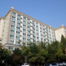 분당-264 이미지