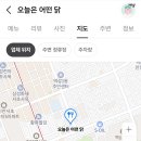 오늘은 어떤 닭 이미지