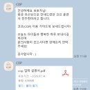 부산 경성대 코프애견유치원(cop) 데이케어 후기