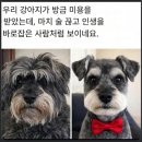 오랜만에 이미지