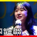 포항해변 전국가요제 Daum카페