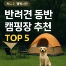 퍼피몽몽 | 반려견 동반 캠핑장 추천 TOP 5 – 강아지랑 함께 자연 속 힐링!