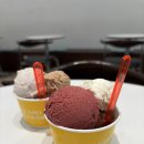 트리플타워A | [일산] 젤라또 맛집 아이스걸크림보이 솔직후기