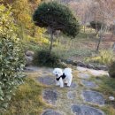 야우농장 이미지