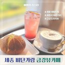 가람가에 | 비단가람 세종 장군면 카페 노을지는 금강뷰 후기