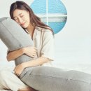 편한바디