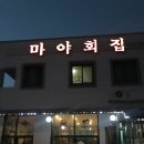 마야횟집