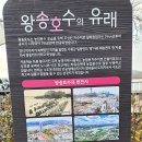 둔배미공원 페달로옆 | 의왕 가볼만한곳 왕송호수공원 왕송생태습지 숲놀이터 단풍 레일바이크 주차장