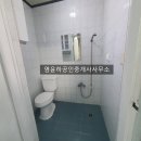 솔올 공인중개사사무소 이미지