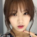 엔제이방역