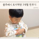 그림책 속으로 독서여행 | 세계 창작 그림책 블루래빗 토끼책방 3개월 독서 성장 후기