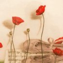 지우지움 이미지