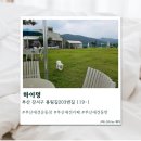 하이멍 - 김포시 장차로 9 | [부산] 부산애견카페 하이멍 솔직후기