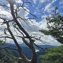 홍천 오봉산(779m)정상인증 이미지