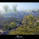 동이트는민박 이미지