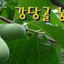 으뜸농장 1 이미지