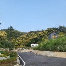 밤꽃펜션 | 세종 공주 근처/수영장/독채/바베큐/글램핑/불 멍하기 좋은/정안 별빛스테이