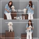 문구랑까까랑 | 울산 셀프사진관 에버필름 성남동 인생네컷 강아지랑 스튜디오 촬영 후기