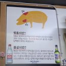 의령돼지꼬리 - 창원시 의창구 원이대로55번길 8-4 | 의령돼지꼬리